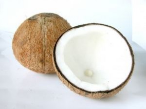 coconut